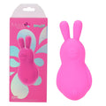 Maia BRI - Pink - Pink 9 cm USB Rechargeable Vibrating Bunny Bullet