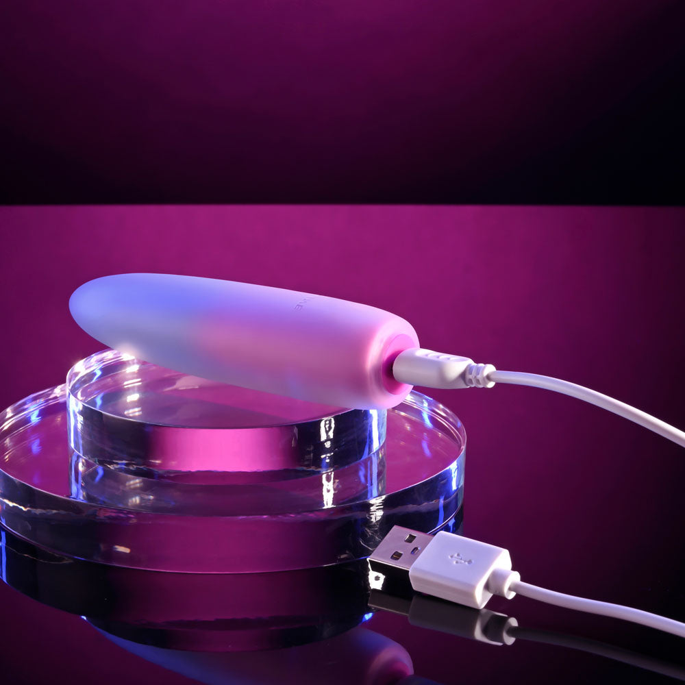 Evolved PARADISE BULLET - Pink/Purple 10.2 cm USB Rechargeable Bullet