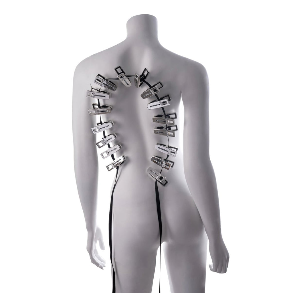 EDGE Body Zipper Clothes Pins - Chrome Chrome Pins - Set of 16